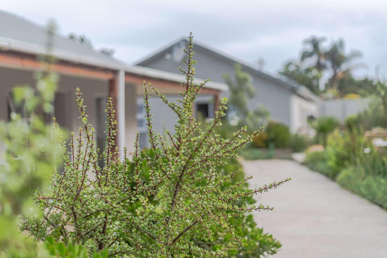 Azaria Guesthouse Swellendam Εξωτερικό φωτογραφία